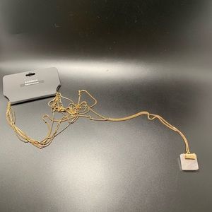 Express Long Gold Necklace with Stone